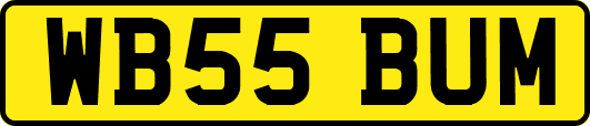 WB55BUM