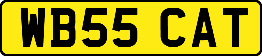WB55CAT