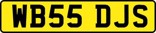 WB55DJS