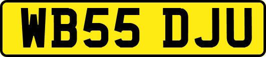 WB55DJU