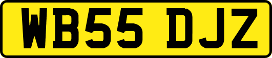 WB55DJZ
