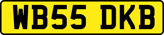 WB55DKB