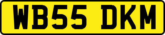 WB55DKM