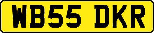 WB55DKR