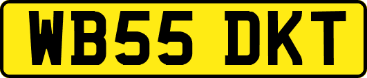 WB55DKT