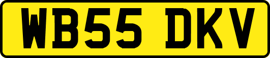 WB55DKV