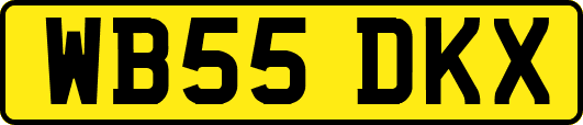 WB55DKX