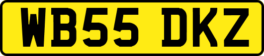 WB55DKZ
