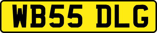 WB55DLG
