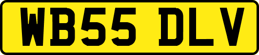 WB55DLV