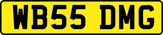 WB55DMG