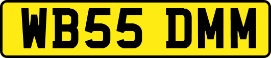 WB55DMM