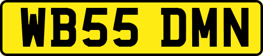WB55DMN