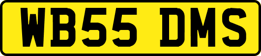 WB55DMS