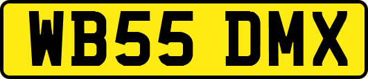 WB55DMX