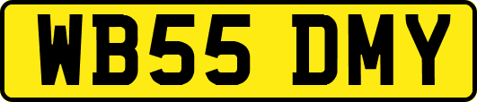WB55DMY