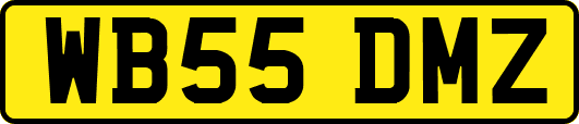 WB55DMZ