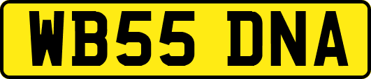 WB55DNA
