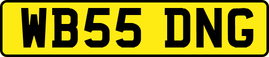 WB55DNG