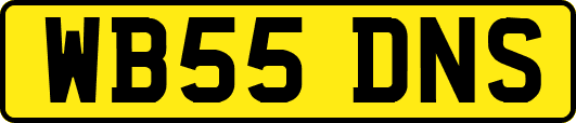 WB55DNS