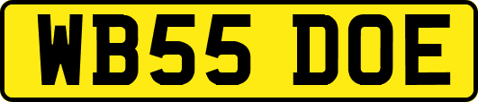 WB55DOE