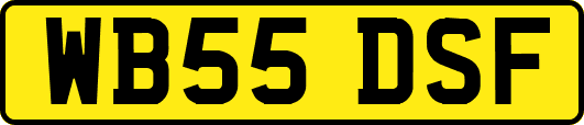 WB55DSF