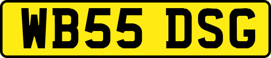 WB55DSG