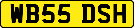 WB55DSH