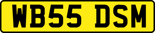 WB55DSM
