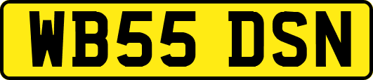 WB55DSN
