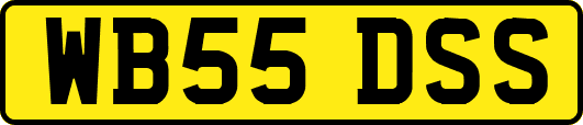 WB55DSS