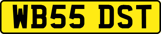 WB55DST