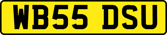 WB55DSU