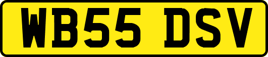 WB55DSV