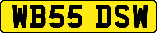 WB55DSW
