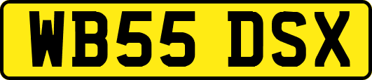 WB55DSX