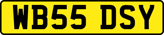 WB55DSY