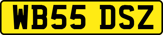 WB55DSZ