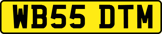 WB55DTM