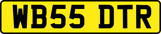 WB55DTR