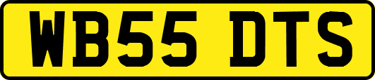 WB55DTS