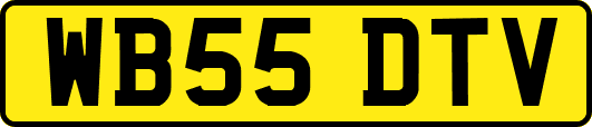 WB55DTV