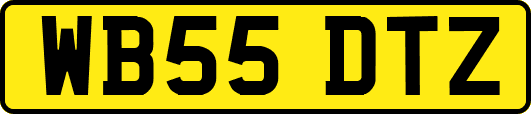 WB55DTZ