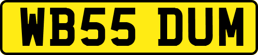 WB55DUM