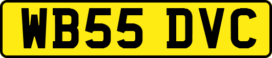 WB55DVC