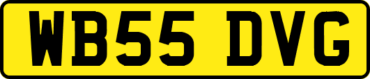WB55DVG