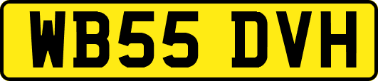 WB55DVH