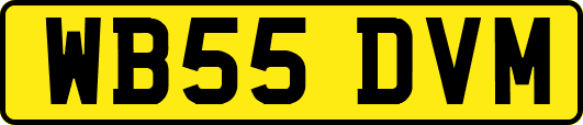 WB55DVM