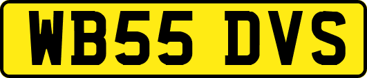 WB55DVS