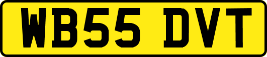 WB55DVT